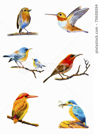 Set watercolor painting colorful of bird. Set watercolor painting colorful of bird. 70688094