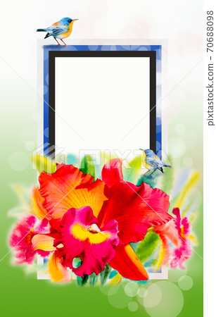 Red orchid flower beauty and couple bird in spring 70688098