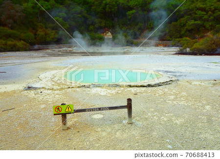 Oyster pool in Rotorua, New Zealand 70688413