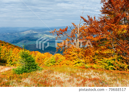Autumn in mountain, amazing landscape Autumn in mountain, amazing landscape 70688517