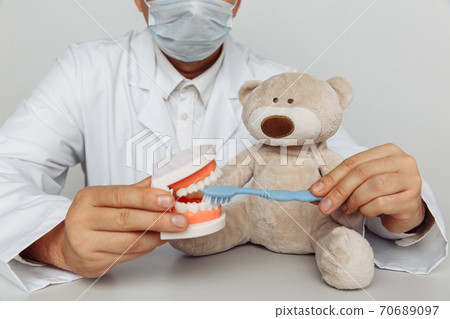 Dentist in mask with model of jaw and stuffed bear animal with toothbrush. Children dentist theme 70689097