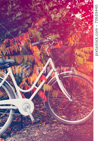 Vintage bicycle in autumn forest 70689440