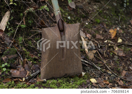 scoop scoop 70689814