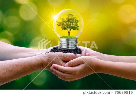 The forest and the trees are in the light. Concepts of environmental conservation and global warming plant growing inside lamp bulb over dry soil in saving earth concept 70689819