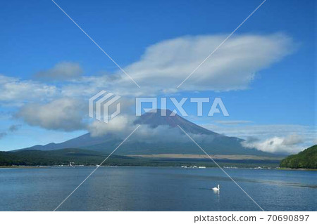 山梨縣山中湖的天鵝和富士山 山梨縣山中湖的天鵝和富士山 70690897