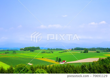 Biei red roof house Biei red roof house 70691129