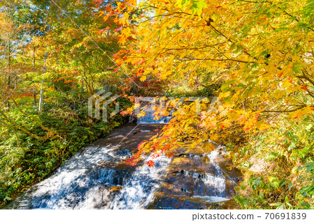 Autumn leaves waterfall autumn Eniwa valley 70691839