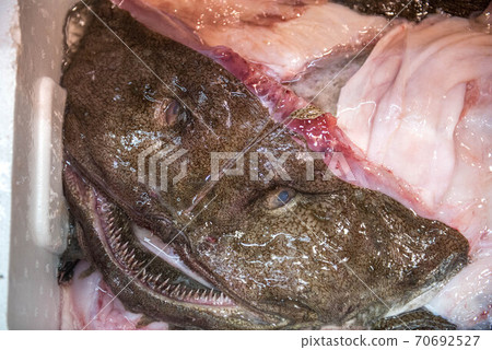A treasure trove of ingredients, fish market A treasure trove of ingredients, fish market 70692527