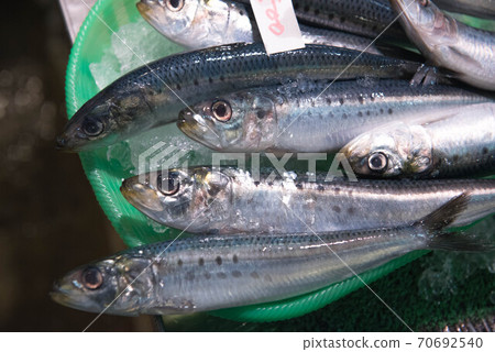 A treasure trove of ingredients, fish market A treasure trove of ingredients, fish market 70692540