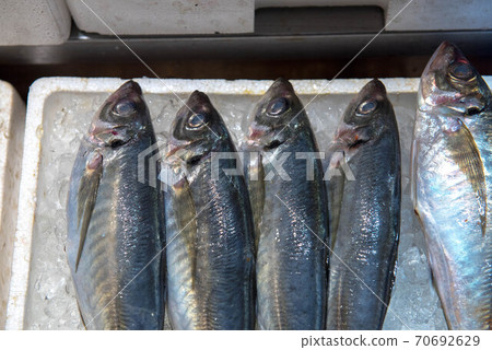 A treasure trove of ingredients, fish market 70692629