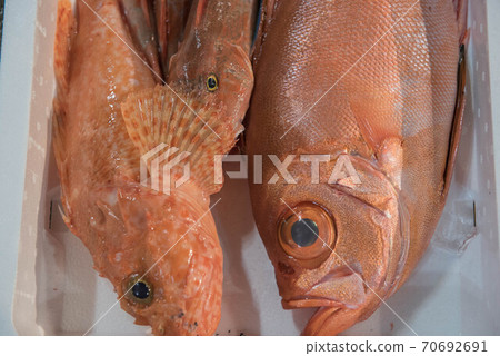 配料寶庫,魚市 配料寶庫,魚市 70692691