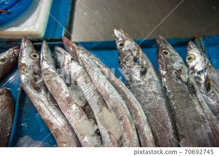 A treasure trove of ingredients, fish market A treasure trove of ingredients, fish market 70692745