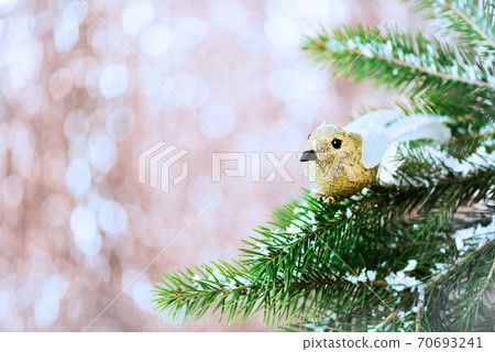 Branches of Christmas Tree with Robin Bird and Snow 70693241