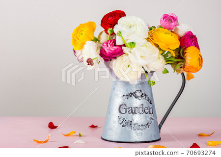Ranunculus Buttercup Flowers of different colours Ranunculus Buttercup Flowers of different colours 70693274