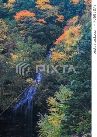 Sanbon Falls in autumn colors Norikura Kogen Sanbon Falls in autumn colors Norikura Kogen 70693878