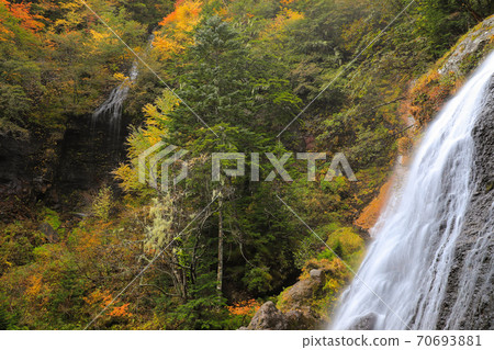 秋天的Sanbontaki葉子Norikura Kogen 70693881