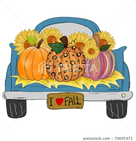 Thanks Giving - A colorful pumpkins in blue Classic truck isolated on white background. 70695971