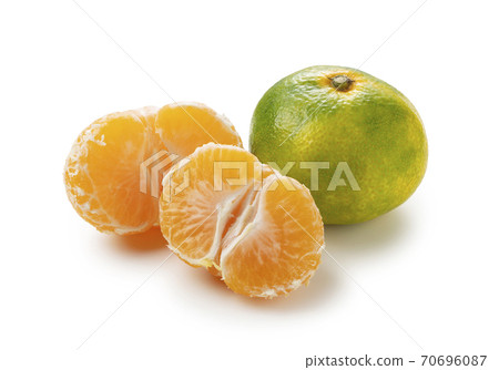 早熟橙子 早熟橙子 70696087