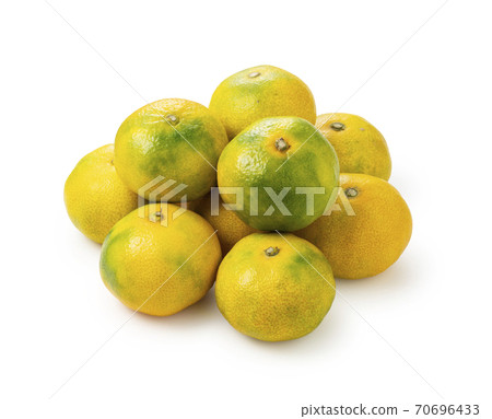 早熟橙子 早熟橙子 70696433