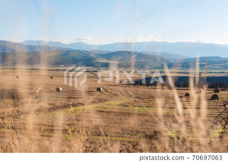 Hay straw field golden close-up beautiful summer rural sun landscape bulgaria perspective creative Hay straw field golden close-up beautiful summer rural sun landscape bulgaria perspective creative 70697063