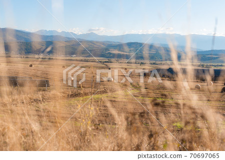 Hay straw field golden close-up beautiful summer rural sun landscape bulgaria perspective creative Hay straw field golden close-up beautiful summer rural sun landscape bulgaria perspective creative 70697065