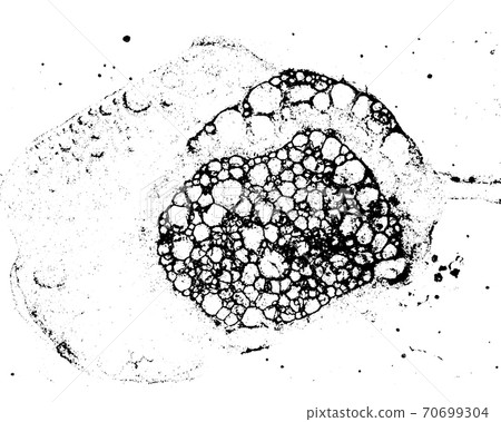 Vector grunge texture 82 70699304
