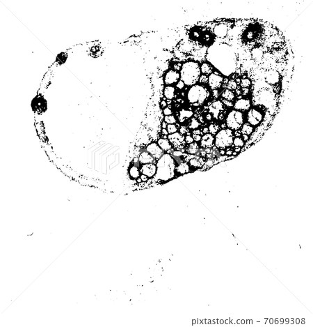 Vector grunge texture 79 70699308