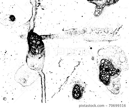 Vector grunge texture 66 Vector grunge texture 66 70699316