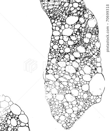 Vector grunge texture 63 Vector grunge texture 63 70699318
