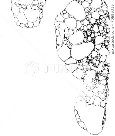 Vector grunge texture 64 Vector grunge texture 64 70699319