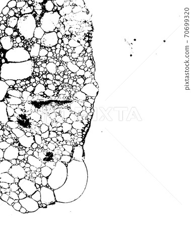 Vector grunge texture 62 Vector grunge texture 62 70699320