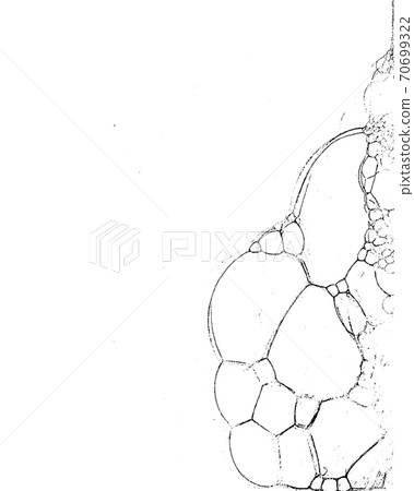 Vector grunge texture 61 Vector grunge texture 61 70699322