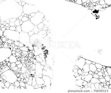 Vector grunge texture 59 70699323