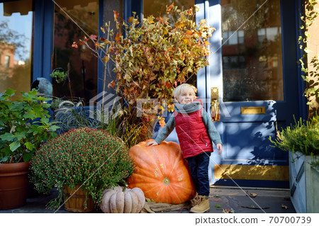 Little boy standing near giant pumpkin. Pumpkins - traditional decoration for halloween Little boy standing near giant pumpkin. Pumpkins - traditional decoration for halloween 70700739