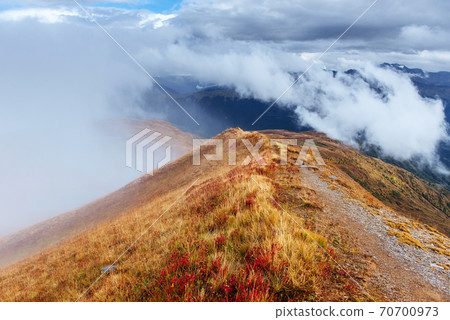 Thick fog on the mountain pass Goulet. Georgia, Svaneti. Europe. Caucasus mountains. Thick fog on the mountain pass Goulet. Georgia, Svaneti. Europe. Caucasus mountains. 70700973