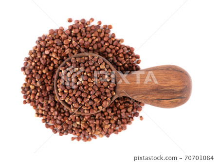Guinea pepper grains in wooden spoon, isolated on white background. Melegeta, alligator pepper or mahlab. Grains of paradise. Top view. 70701084