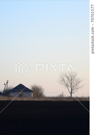 Dawn in the village. A minimalistic photo with a horizon line on which there is an apartment house and a tree Dawn in the village. A minimalistic photo with a horizon line on which there is an apartment house and a tree 70701577