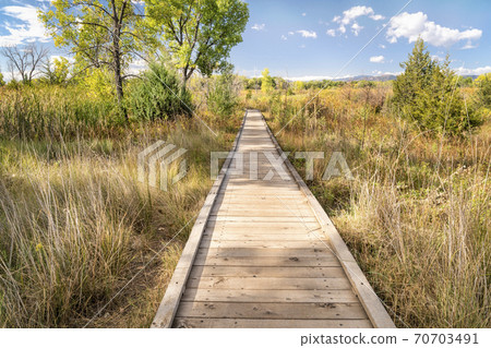 wooden boardwalk across wetland 70703491