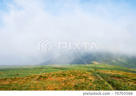 Rhododendrons bloom in a beautiful location in the mountains. Flowers in the mountains. Blooming rhododendrons in the mountains on a sunny summer day. Dramatic unusual scene. Carpathian, Ukraine Rhododendrons bloom in a beautiful location in the mountains. Flowers in the mountains. Blooming rhododendrons in the mountains on a sunny summer day. Dramatic unusual scene. Carpathian, Ukraine 70703566