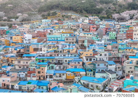 View of Gamcheon Culture Village, Busan, South Korea. View of Gamcheon Culture Village, Busan, South Korea. 70708085