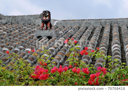 沖繩島 沖繩島 70708418