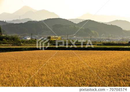 秋季築喜線 70708574