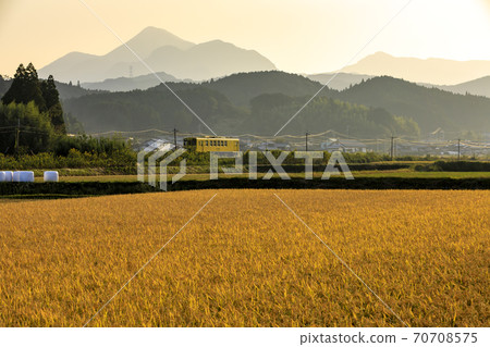 秋季築喜線 秋季築喜線 70708575