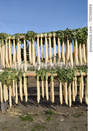 Daikon's heaven sunrise Daikon's heaven sunrise 70708869