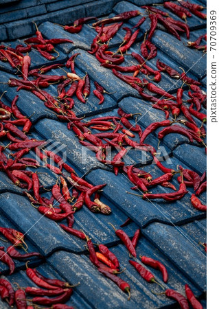 Red chili on a blue roof Red chili on a blue roof 70709369