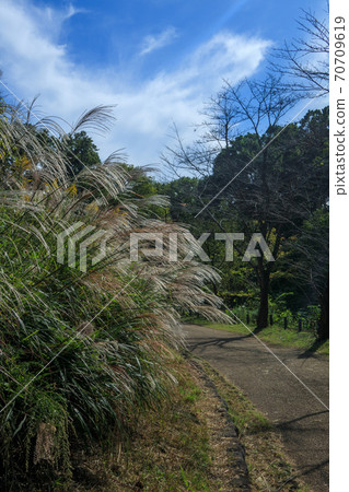 Autumn landscape in Japan Autumn landscape in Japan 70709619