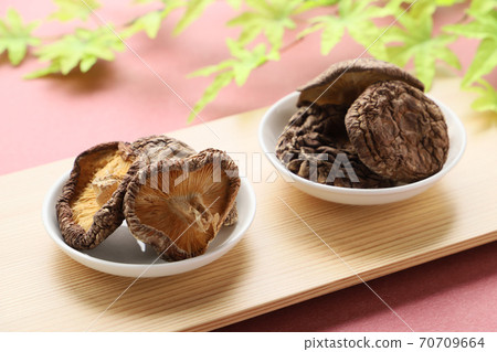 原木幹竹（喀什） 70709664