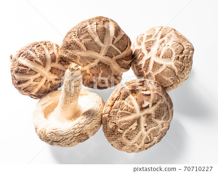 迪克香菇 70710227