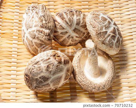 迪克香菇 迪克香菇 70710232