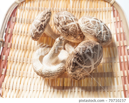 Dick shiitake mushroom Dick shiitake mushroom 70710237